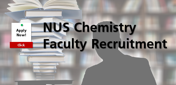 national university of singapore nus chemistry faculty