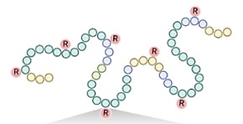 Unlocking RNA functionality: A redox-responsive approach